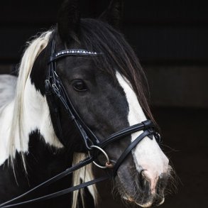 Mix & Match Nakkestykker