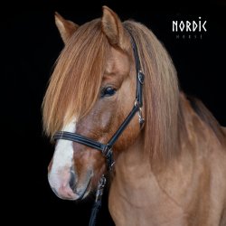 Classic Sort ldergrime