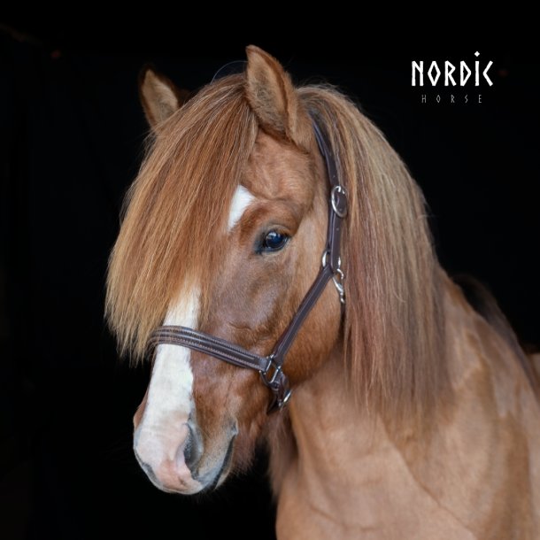 Classic Brun ldergrime