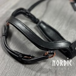 Anatomisk kombineret nserem