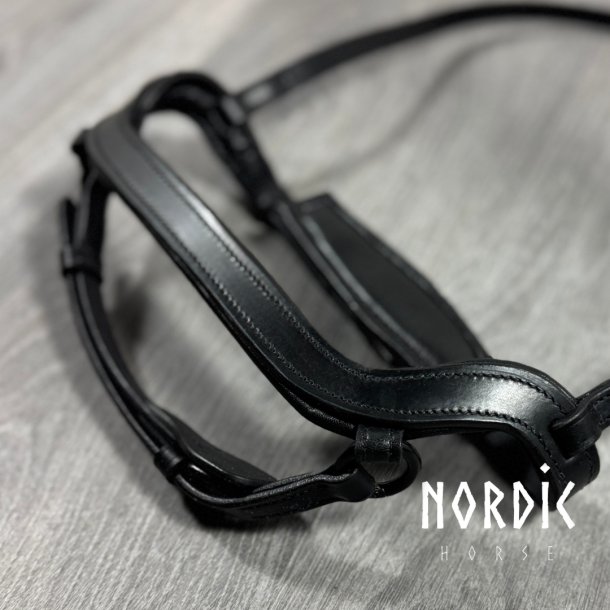 Anatomisk kombineret nserem