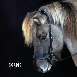 Anatomisk kombineret nserem