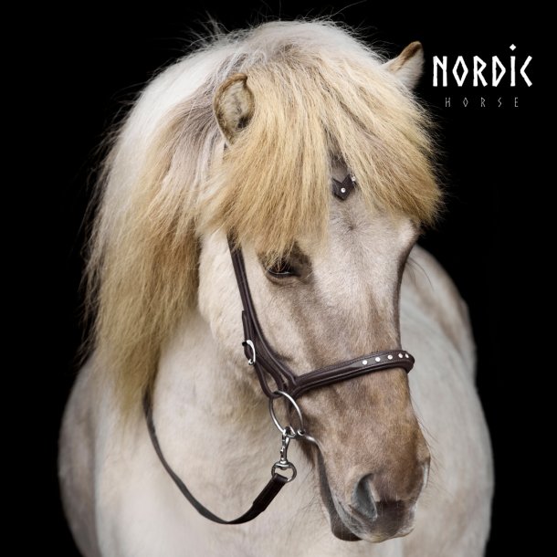 Nakkestykke med V-pandebnd og 5 sten - Brun