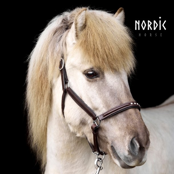 Brun ldergrime med 5 sten