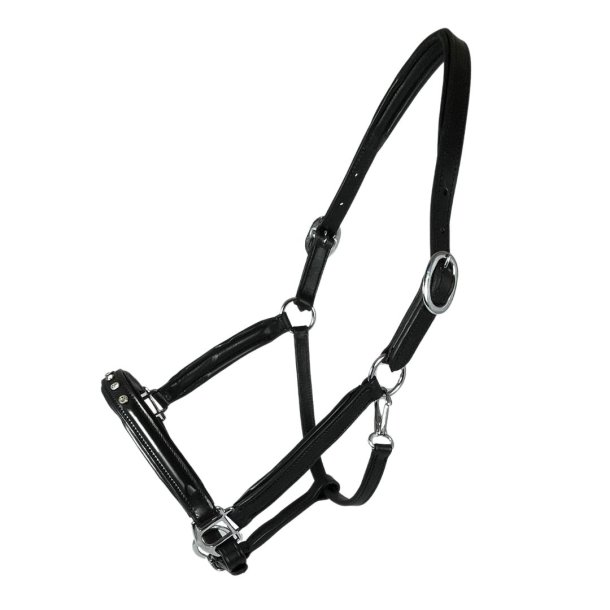 Sort ldergrime med 5 sten