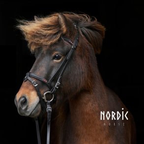 Eng/Komb nserem Red Edition