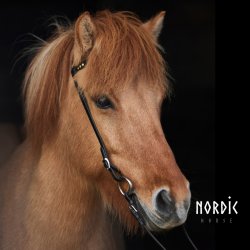 Trense Golden Edition