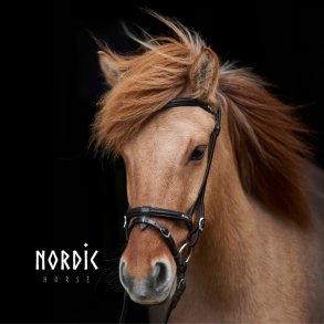 Eng/Komb nserem Golden Edition