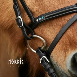 Eng/Komb nserem Blue Edition