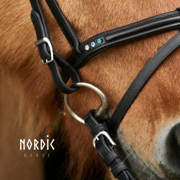 Eng/Komb nserem Blue Edition