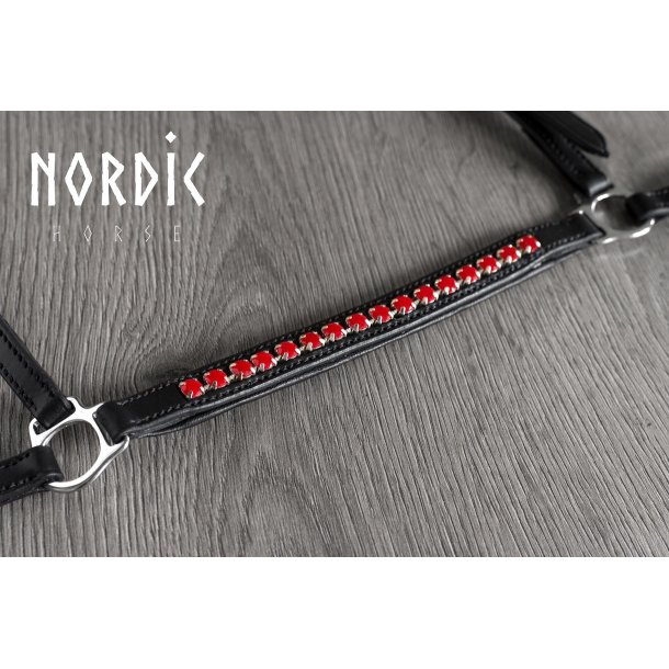 Nserem med en rkke rde sten