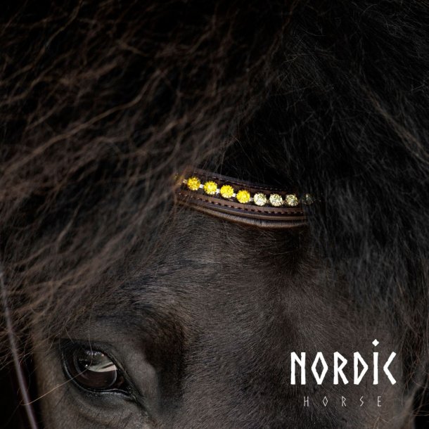 Pandebnd Efterr - Brun