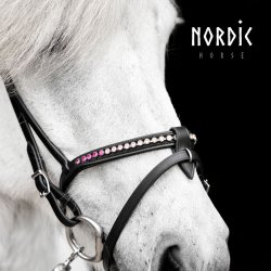 Eng/Komb. nserem Sommer