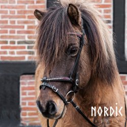 Eng/Komb. nserem Sommer