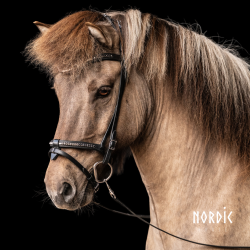 Eng/Komb. n�serem Efter�r - Sort
