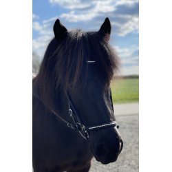 Nserem med en rkke sm sten