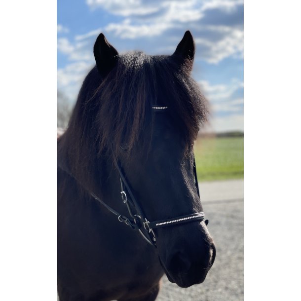 Nserem med en rkke sm sten