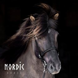 Komb. nserem All Black