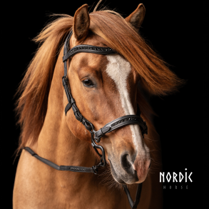 Hackamore All Black