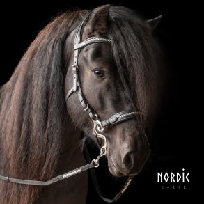 Sidestykker til hackamore med s�lvsp�nder