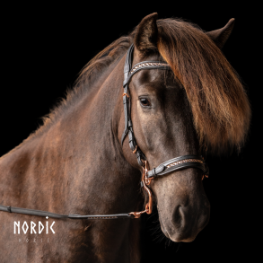 Hackamore All Rosegold
