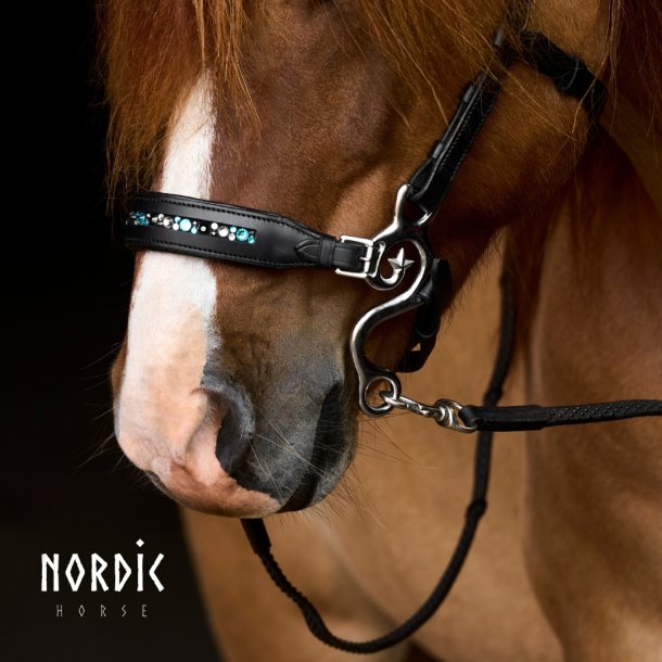 Hackamore Colour Mix Turkis