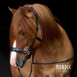 Hackamore Colour Mix Turkis