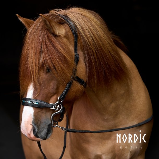 Hackamore Colour Mix Turkis