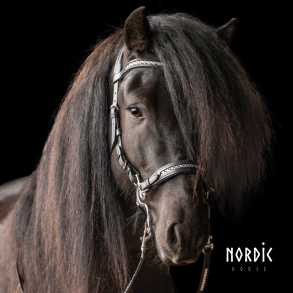 Hackamore All White