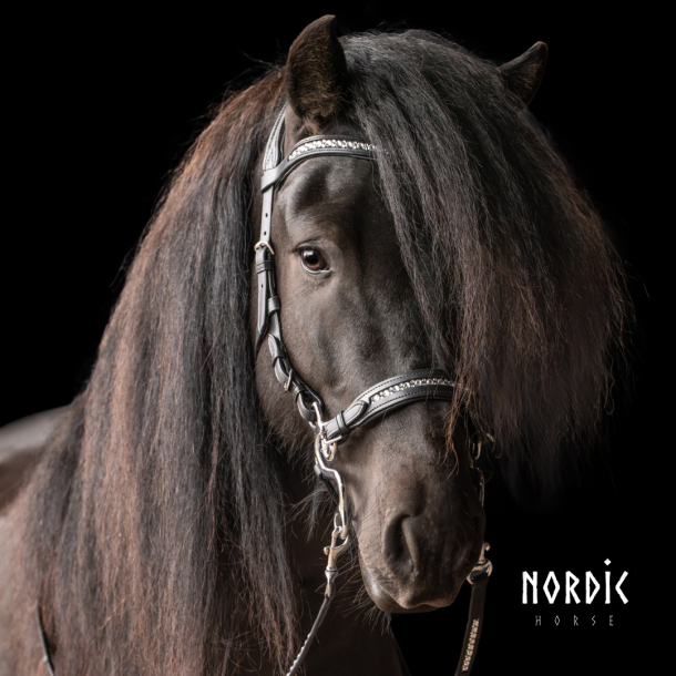 Hackamore All White