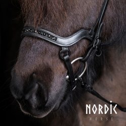 Anatomisk nserem All Black