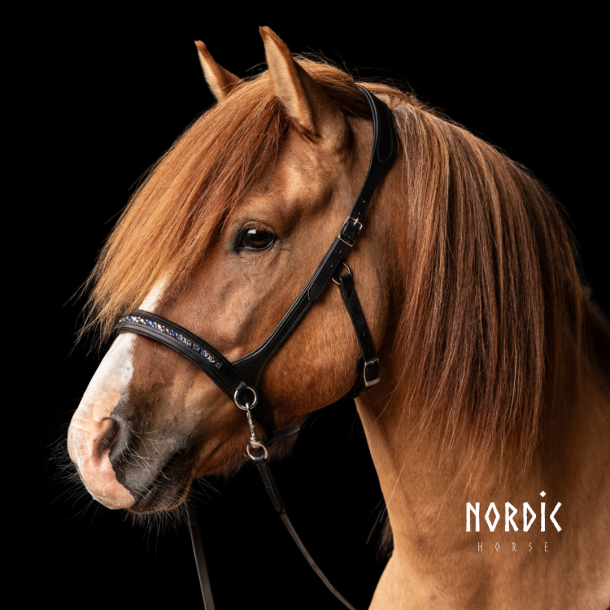 Sidepull Colour Mix bl�
