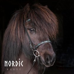 Komb. nserem Colour mix - Turkis