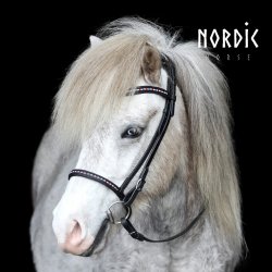 Komb./engelsk nserem med sten i Islandske farver