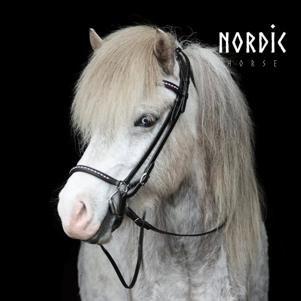 Nsebnd med sten i Islandske farver