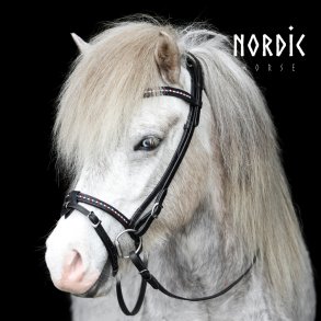 Komb./engelsk nserem med sten i Islandske farver