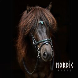 Eng/Komb. nserem Wave