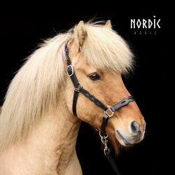 Ldergrime med udskringer