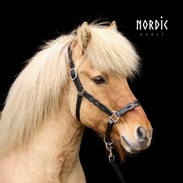 Ldergrime med udskringer