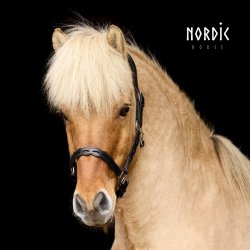 Ldergrime med udskringer