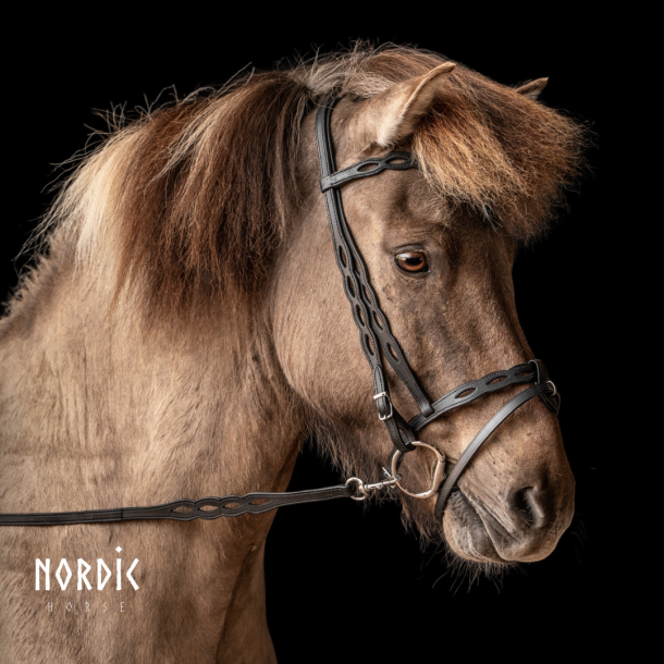 Komb. n�seb�nd 15