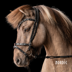 Komb. n�seb�nd 16