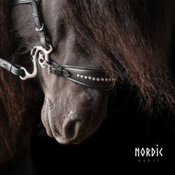 Hackamore med sten