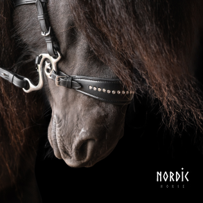 Hackamore med sten