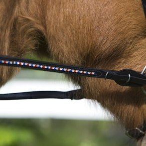 Supergriptjle med sten i Islandske farver