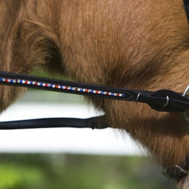 Supergriptjle med sten i Islandske farver