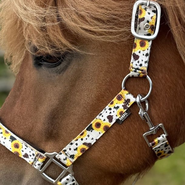 Polstret grime med solsikker