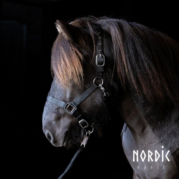 Trktov med panikhage