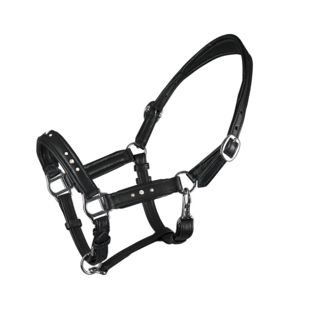 Flgrime med sten i st