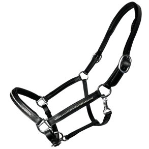 Ldergrime med en rkke sm hvide sten